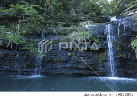 西表島/船浮灣/水瀑布 39838892