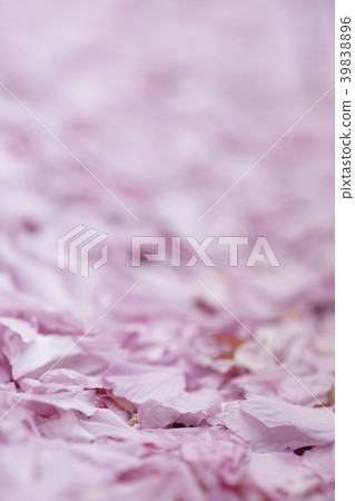 櫻桃花瓣 39838896
