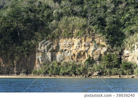 Iriomote島/船浮動海灣/內陸島的懸崖 Iriomote島/船浮動海灣/內陸島的懸崖 39839240