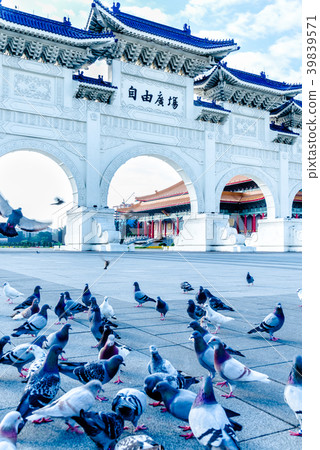 中正紀念堂與鴿子 Chiang Kai-shek Memorial Hall 中正記念堂とハト 39839571