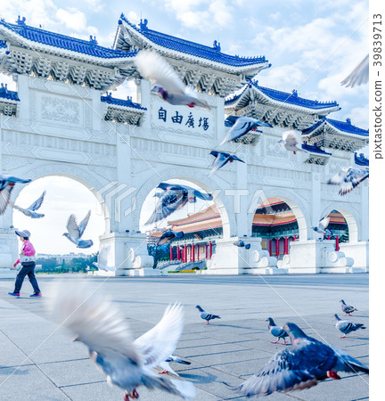 中正紀念堂與鴿子飛翔 Chiang Kai-shek Memorial Hall 中正記念堂ハト飛翔 39839713