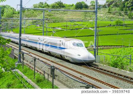 Fresh green tea fields and Shinkansen Fresh green tea fields and Shinkansen 39839748