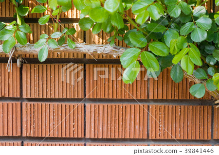 Background material Rose and brick casket 39841446