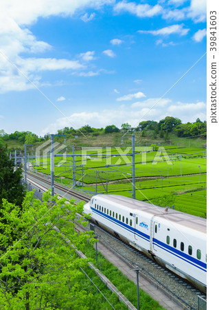 Fresh green tea fields and Shinkansen blue sky Fresh green tea fields and Shinkansen blue sky 39841603