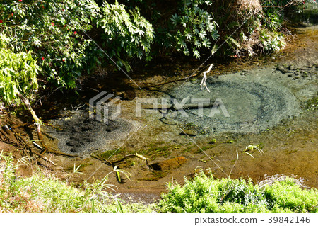 Kakita River spring spring 39842146