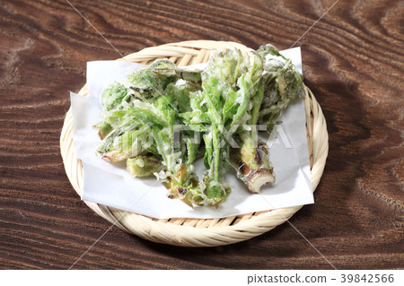野生植物天婦羅 野生植物天婦羅 39842566