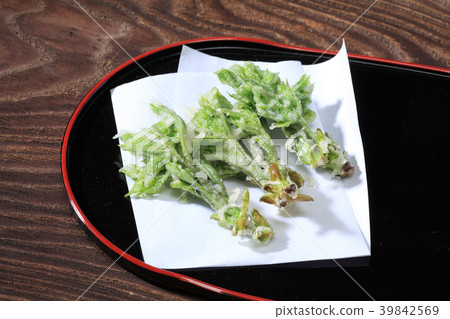 Tempura of Kosi Bra Tempura of Kosi Bra 39842569