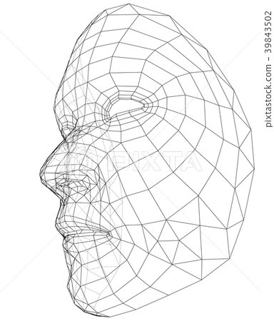 Wire-frame abstract human face 39843502