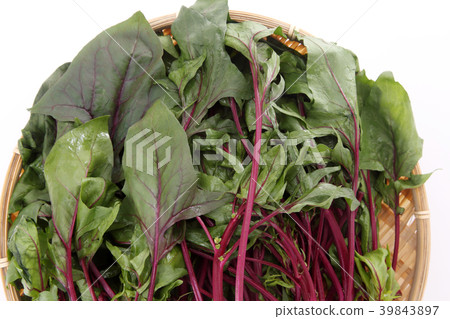 Red axis spinach Red axis spinach 39843897