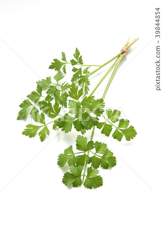 Celery leaves 39844854