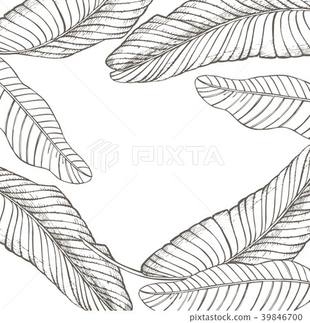 Summer tropical leaves vector design. Floral 39846700