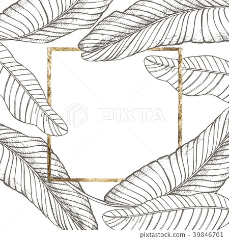 Summer tropical leaves vector design. Floral 39846701