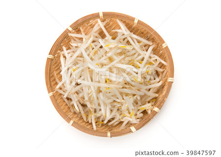 綠豆芽 綠豆芽 39847597