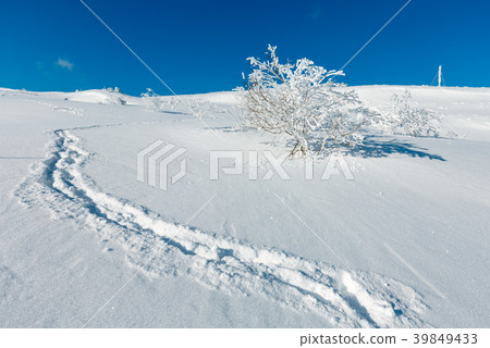 Winter snowdrifts (Carpathian mo 39849433