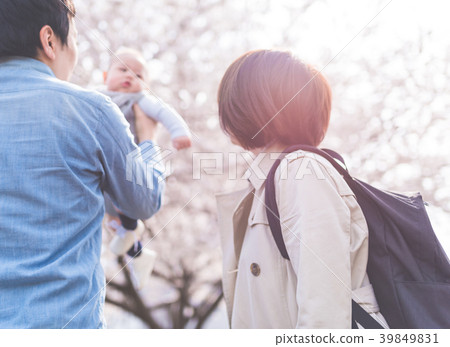 Cherry Blossoms Cherry Blossoms 39849831