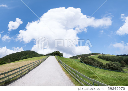 Ranch landscape 39849970