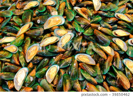 Asian green mussel on street market 39850462