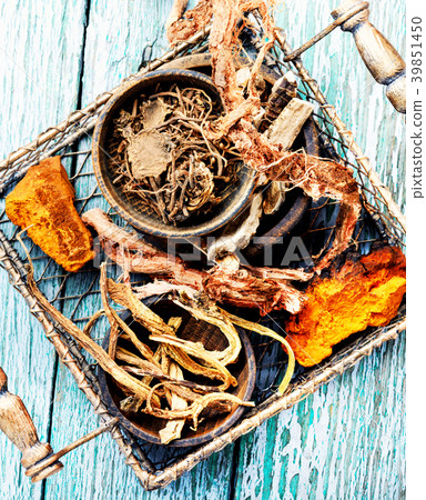 Set of roots of medicinal plants Set of roots of medicinal plants 39851450