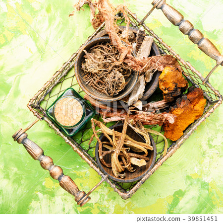 Set of roots of medicinal plants Set of roots of medicinal plants 39851451