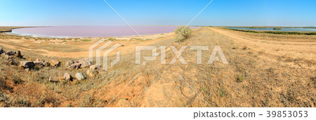 Pink salty Syvash Lake, Ukraine 39853053
