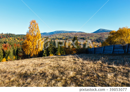 Autumn Carpathian village, Ukraine. Autumn Carpathian village, Ukraine. 39853077