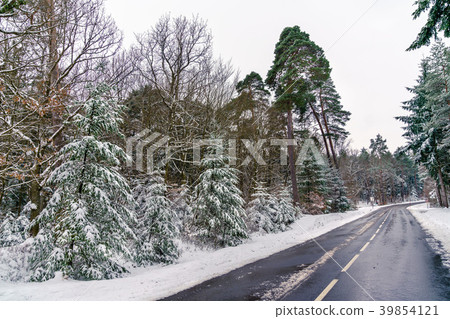 Road in the Vosges mountains in winter. Bas-Rhin Road in the Vosges mountains in winter. Bas-Rhin 39854121