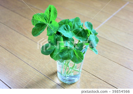 Clover··+四葉草+·· 39854566