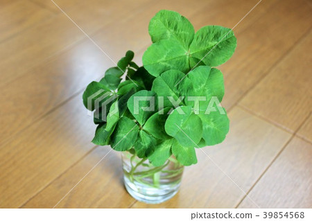 Clover··+四葉草+·· 39854568