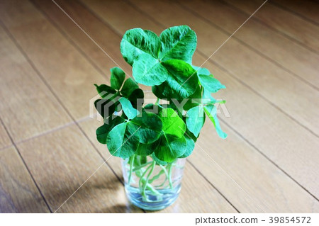 Clover··+四葉草+·· Clover··+四葉草+·· 39854572