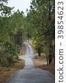 Walk way among pine forests at Ban Wat Chan 39854623