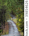 Walk way among pine forests at Ban Wat Chan 39854626