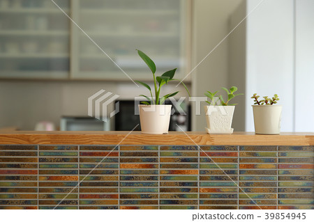 Kitchen houseplant 39854945