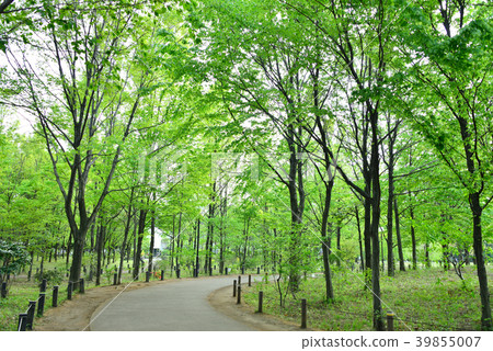Kashiwa no Miyakoen Kashiwa no Miyakoen 39855007