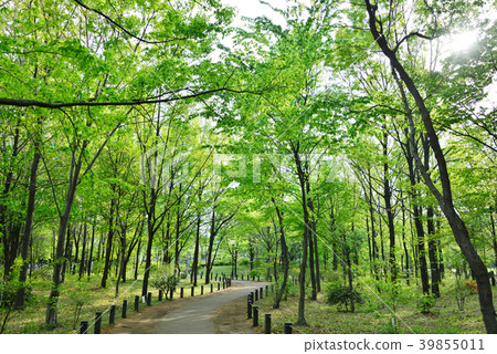 Kashiwa no Miyakoen Kashiwa no Miyakoen 39855011