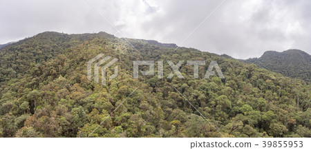 Aerial view of the cloudforest covered slopes Aerial view of the cloudforest covered slopes 39855953