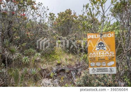 Mine field on Paquisha Alta Tepuy Mine field on Paquisha Alta Tepuy 39856084