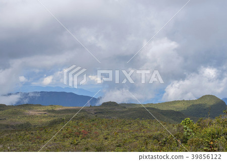 Mist blowing over the plateau of Paquisha Alta Tep 39856122