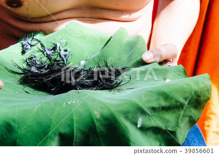 Ordination Ceremony Ordination Ceremony 39856601