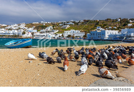 Chora. Mykonos. Sandy city beach. 39856989