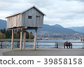 Stanley Park 39858158