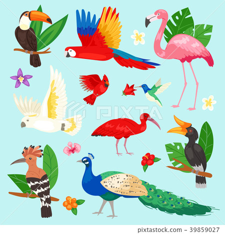 Tropical birds vector exotic parrot or flamingo 39859027