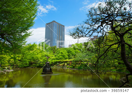Wakaba和新鮮的綠色日比谷公園起重機噴泉和東京中城日比谷 39859147