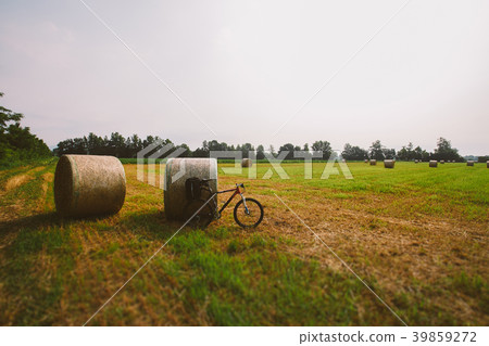 Bicycle in the field with big round bales of straw 39859272