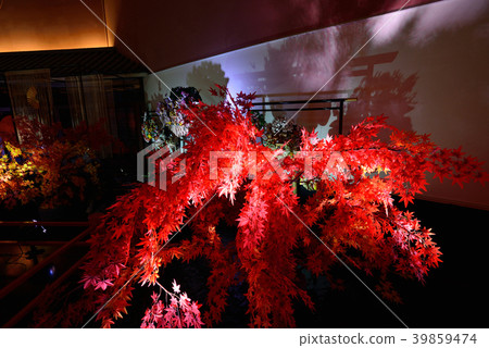 Tokyo Prefecture Hotels Tokyo Prefecture Hotels 39859474