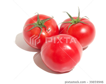 蕃茄 39859946