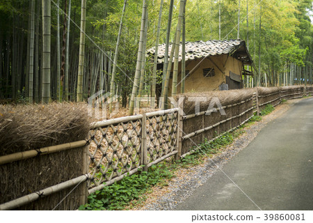 竹林 竹林 39860081