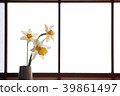 Flower arrangement of trumpet narcissus 39861497