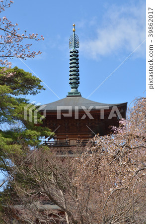 Setagaya walk: Gotokuji triple tower 39862017