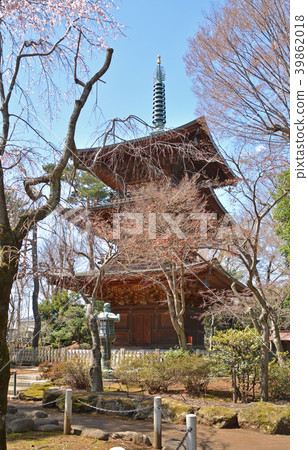 Setagaya walk: Gotokuji triple tower 39862018