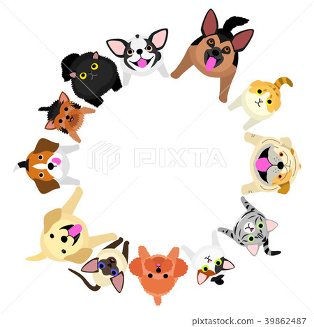 Circle of dogs and cats sitting and looking up 39862487